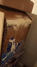 IMG_20220224_170924.jpg