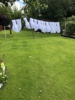 IMG_4755.jpeg
