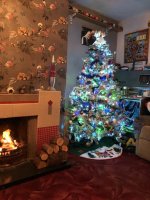 IMG_5955.jpeg