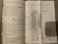 IMG_1389.jpeg