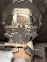 IMG_1295.jpeg