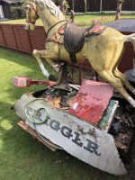 IMG_6461.jpeg