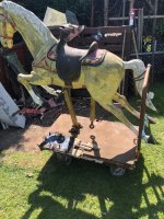 IMG_6545.jpeg