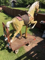 IMG_6546.jpeg