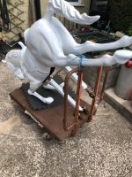 IMG_6564.jpeg