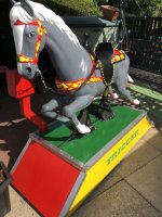 IMG_6811.jpeg