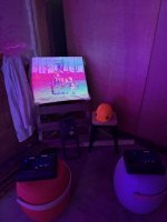 IMG_2399.jpeg