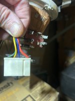 IMG_5787.jpeg