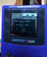 IMG_2268.jpeg