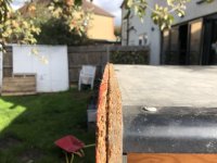 IMG_1179.jpeg