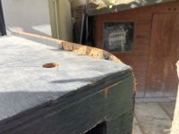 IMG_1186.jpeg
