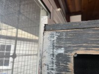 IMG_2222.jpeg