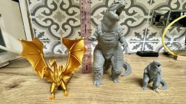 IMG_2937.jpeg