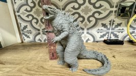 IMG_2938.jpeg