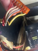 IMG_8785.jpeg