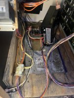 IMG_8791.jpeg