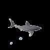thesharkfactor