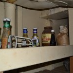 DSC_0527.JPG