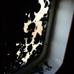 DSC_0557.JPG