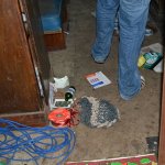 DSC_0569.JPG