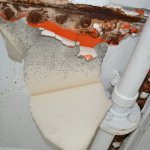DSC_0442.JPG