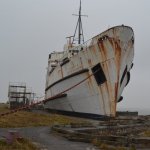 DSC_0222.JPG