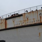 DSC_0223.JPG
