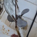 DSC_0484.JPG