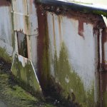 DSC_0487.JPG