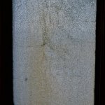 DSC_0497.JPG