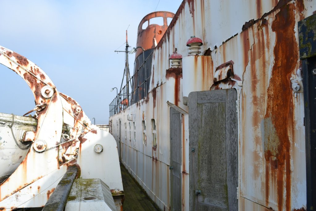 DSC_0450.JPG