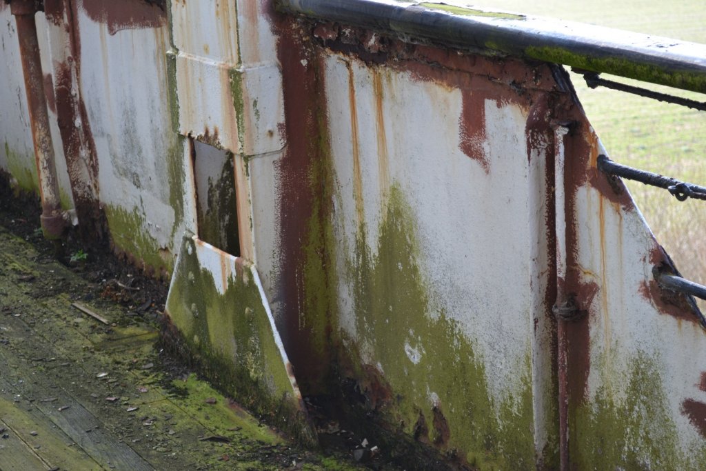 DSC_0487.JPG