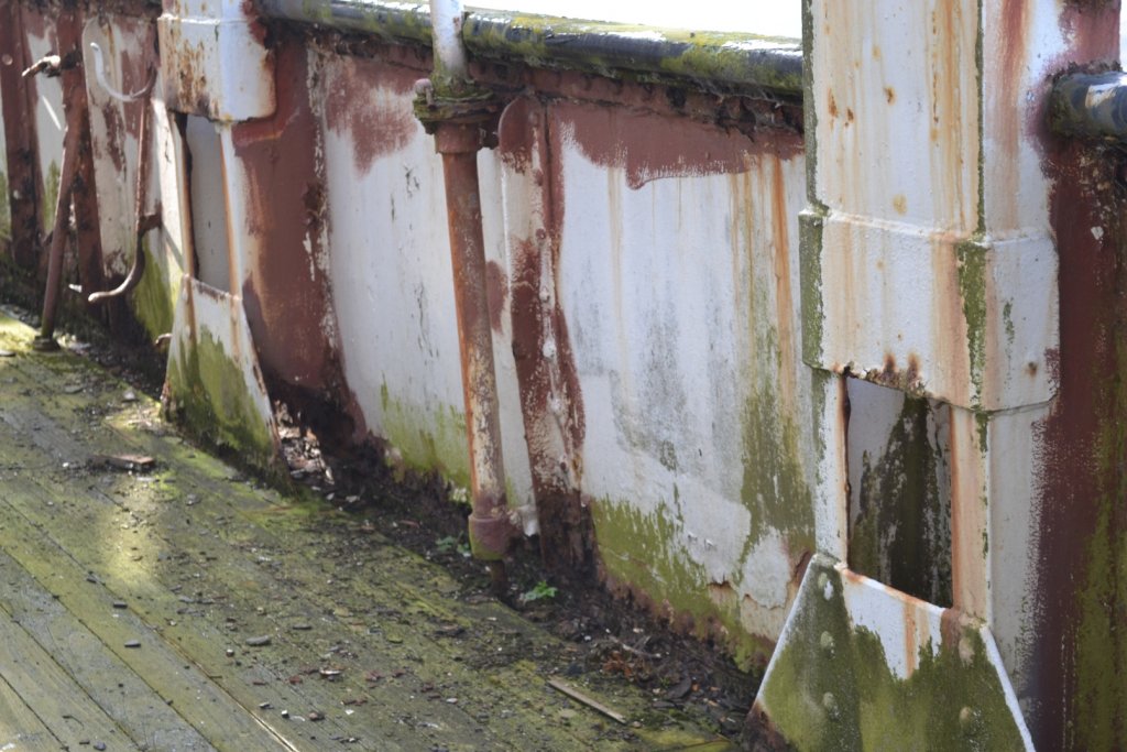 DSC_0488.JPG
