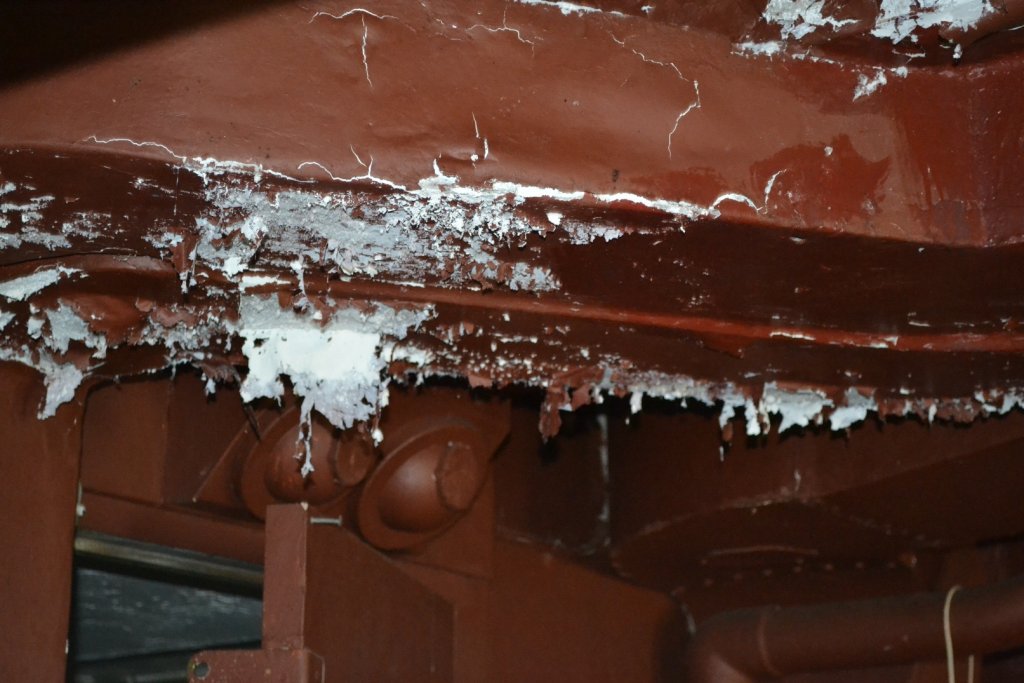 DSC_0502.JPG