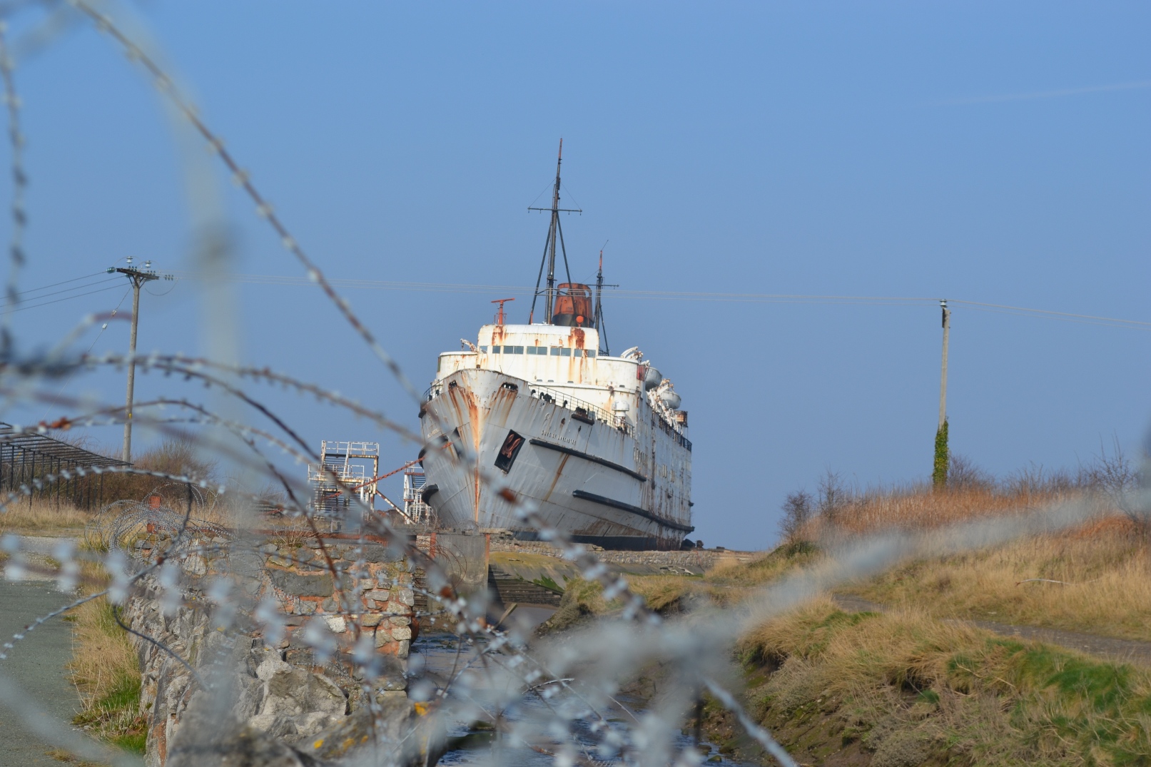 DSC_0624.JPG